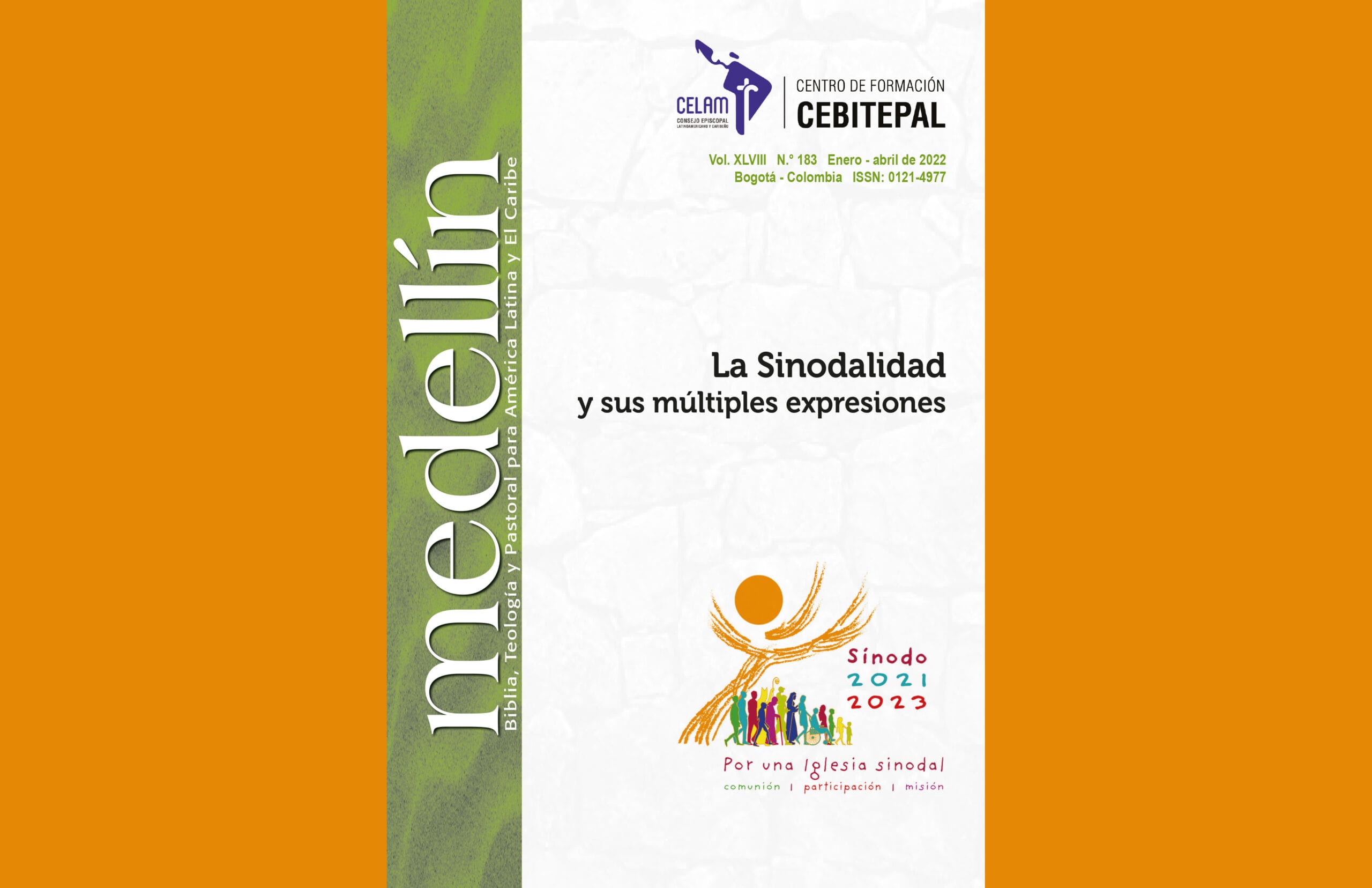 La Sinodalidad y sus múltiples expresiones