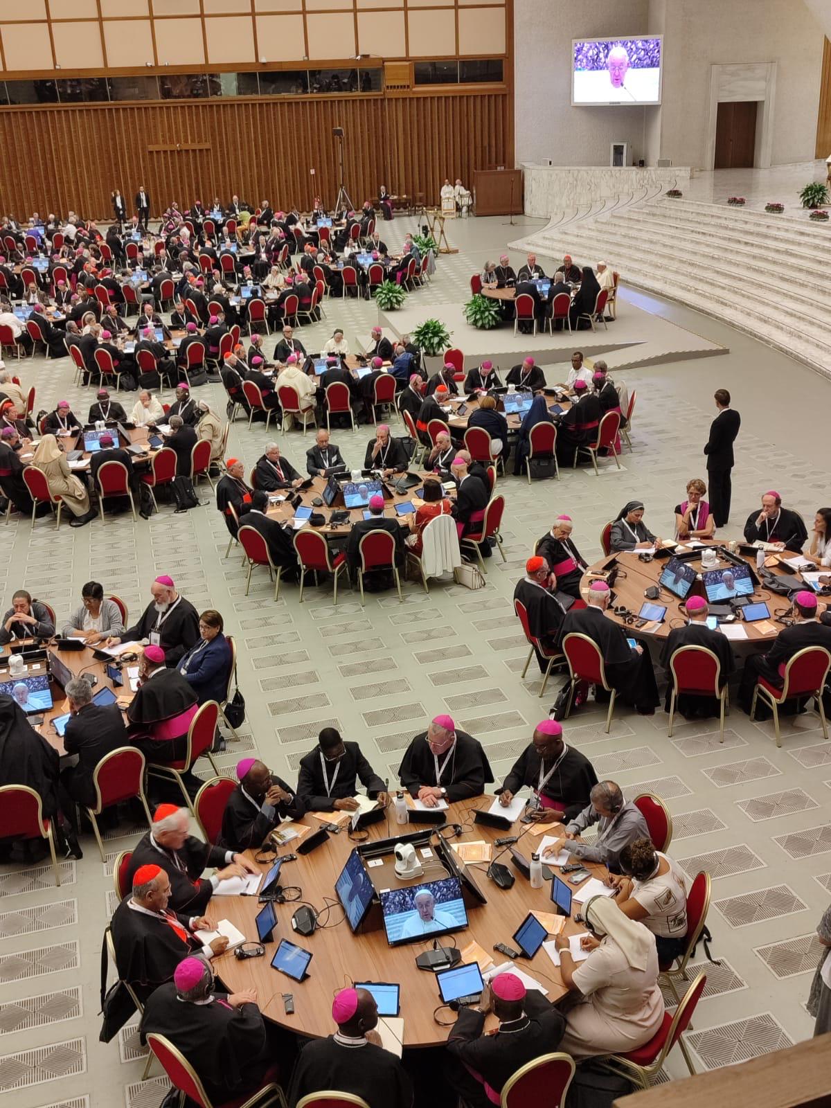 A revolução de Francisco